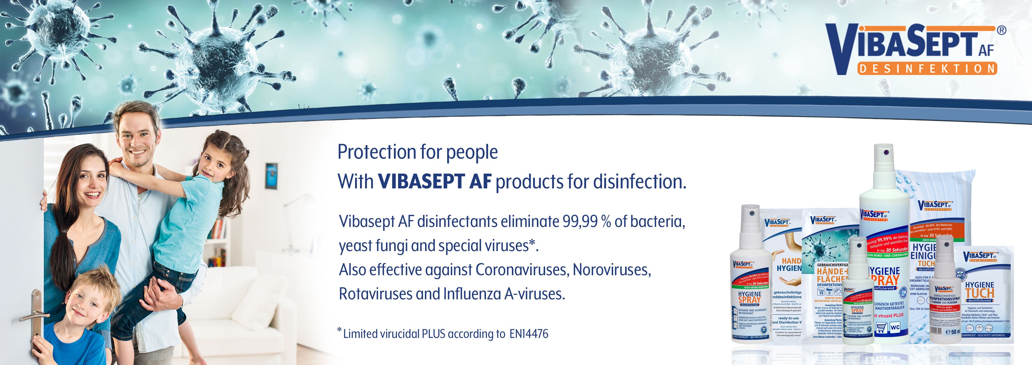 Vibasept Desinfektionsspray